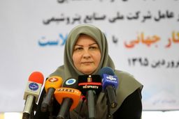 خط لوله اتیلن غرب تا اسفندماه تکمیل می شود