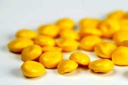 آغاز فعالیت ها پس از افزایش قیمت پلی اتیلن در دالیان چین