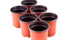 فورموسای تایوانی از افزایش قیمت ها در دسامبر خبر داد