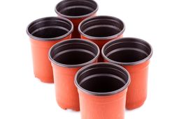 فورموسای تایوانی از افزایش قیمت ها در دسامبر خبر داد