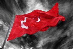  پلی اتیلن های ایرانی در بازار ترکیه نایاب شدند| چشم انداز تاریک بازار پلی اتیلن ها با افت مجدد قیمت پلی اتیلن ها تقویت شد