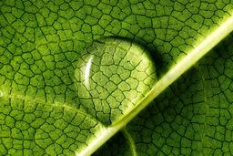 آرامکو از سابیک برای اتکای بیشتر به انرژی‌های تجدیدپذیر در مسیر تعهد انتشار صفر تا 2050 حمایت کرد