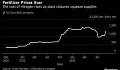 افزایش قیمت کود به دلیل بحران انرژی در اروپا