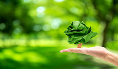 توسعه پلی‌پروپیلن بازیافتی توسط شرکت‌های توتال انرژی و پلاستیک اومنیوم برای صنعت اتومبیل