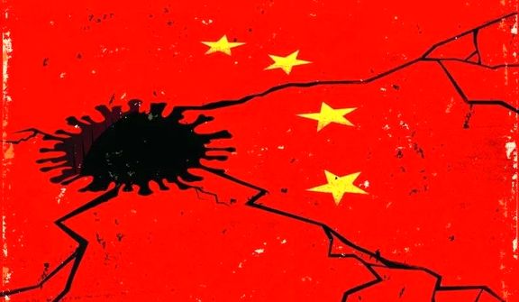 China's oil port congestion to stretch on as record imports strain facilities