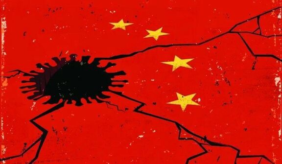 China's oil port congestion to stretch on as record imports strain facilities