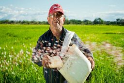 دورنمای کلی بازار اوره؛ آیا اهرم های لازم برای رشد قیمت اوره در بازارهای جهانی وجود دارد؟