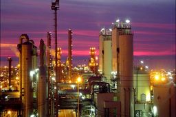 پتروشیمی غدیر در کما