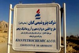 دو سهامدار ناهمگون!