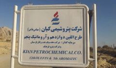 دو سهامدار ناهمگون!