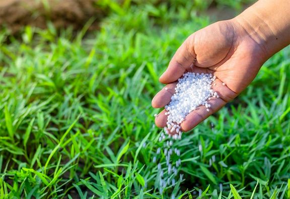 کارکرد مهم گاز برای تولید اوره و آمونیاک به دلیل ناکافی بودن منابع تهدید خواهد شد