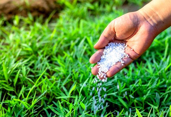 کارکرد مهم گاز برای تولید اوره و آمونیاک به دلیل ناکافی بودن منابع تهدید خواهد شد