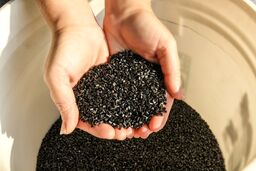 سانسرز: با اوج‌گیری محموله‌ها و تضعیف تقاضا قیمت‌های ای‌بی‌اس چین سیری کاهشی در پیش گرفته‌اند