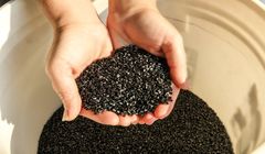 سانسرز: با اوج‌گیری محموله‌ها و تضعیف تقاضا قیمت‌های ای‌بی‌اس چین سیری کاهشی در پیش گرفته‌اند