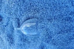 تریدرهای ترک برای خرید محصولات ری اکسپورت از چین حساب ویژه ای باز کرده اند