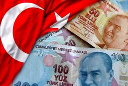 فروشندگان ایالات متحده به کاهش قیمت های خود در این هفته ادامه داده و موضع تهاجمی خود را به تمام درجات پلی اتیلن گسترش دادند