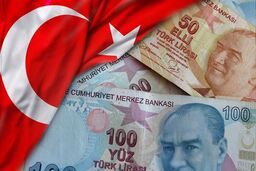 فروشندگان ایالات متحده به کاهش قیمت های خود در این هفته ادامه داده و موضع تهاجمی خود را به تمام درجات پلی اتیلن گسترش دادند