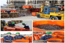 شرکت های دانش بنیان ایرانی پای کار آمدند؛ کاتالیست های پتروشیمی پردیس بومی سازی شدند