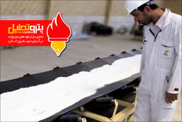 بازار کود های نیتروژنه درآسیای جنوب شرق(آسه آن)