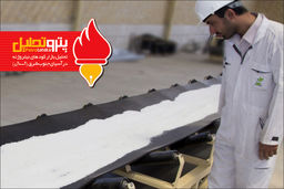 بازار کود های نیتروژنه درآسیای جنوب شرق(آسه آن)