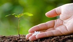 قیمت اوره صادراتی پتروشیمی های ایرانی