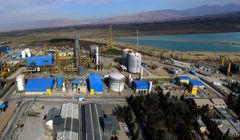 آسیب شناسی علل توسعه نیافتگی صنایع پتروشیمی در استان فارس