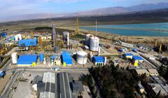 آسیب شناسی علل توسعه نیافتگی صنایع پتروشیمی در استان فارس