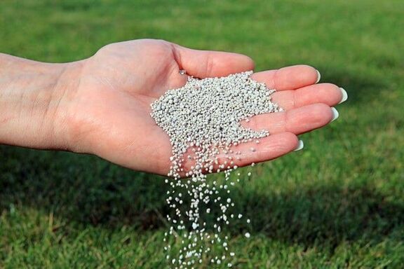 دلایل پیش بینی افزایش سود و درآمد برای اوره سازان ایرانی