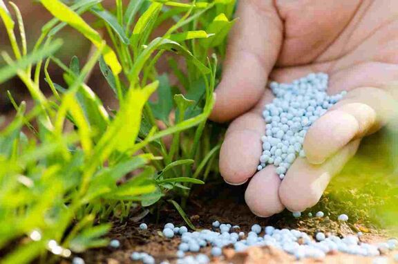 محروم ماندن پتروشیمی های ایرانی اوره ساز از افزایش قیمت های جهانی