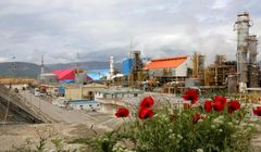 گرانی خوراک؛ تهدیدی جدی و استراتژیک برای متانول سازها