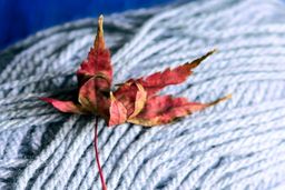 تقاضای پلی‌پروپیلن نسبت به پلی‌اتیلن عملکرد بهتری را در ترکیه به ثبت رساند