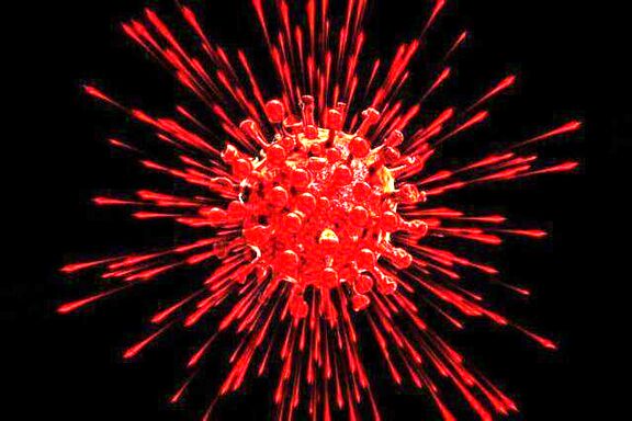 Global 2020 economic output to plunge if second coronavirus outbreak hits - OECD