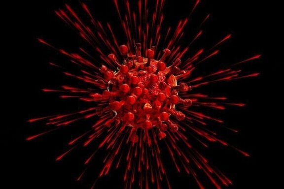 Global 2020 economic output to plunge if second coronavirus outbreak hits - OECD