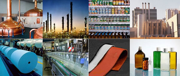 Iran petrochemicals value. 
