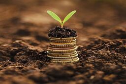 قیمت اوره سی اف ار برزیل و ترکیه ۶۰ دلار ارزان‌تر از نشریه آرگوس برای فوب ایران!!!